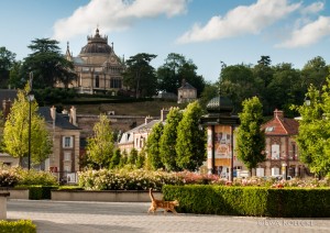 Dreux_chat_chapelle_DSC_9629  