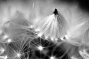  331 Aurore Hecquet toiles de lumieère