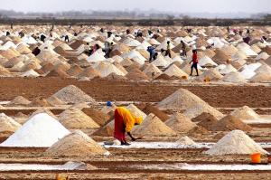 027 PENICAUD Christophe - La récolte du sel au Sahel