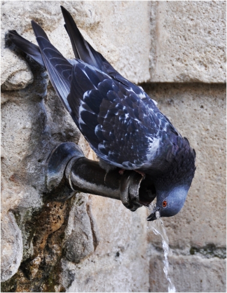 Résultats du thème « Au fil de l’Eau »