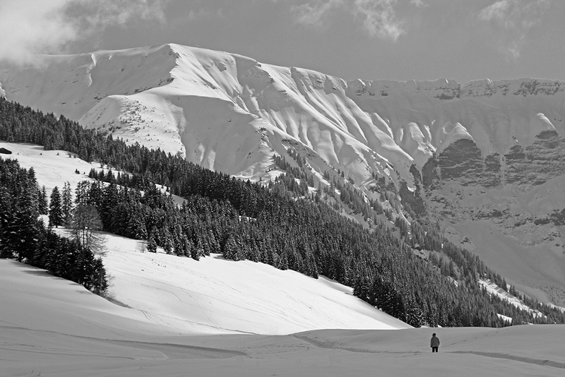 Résultats du thème « Solitude »