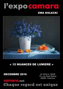 affiche_expo_camara_2016_