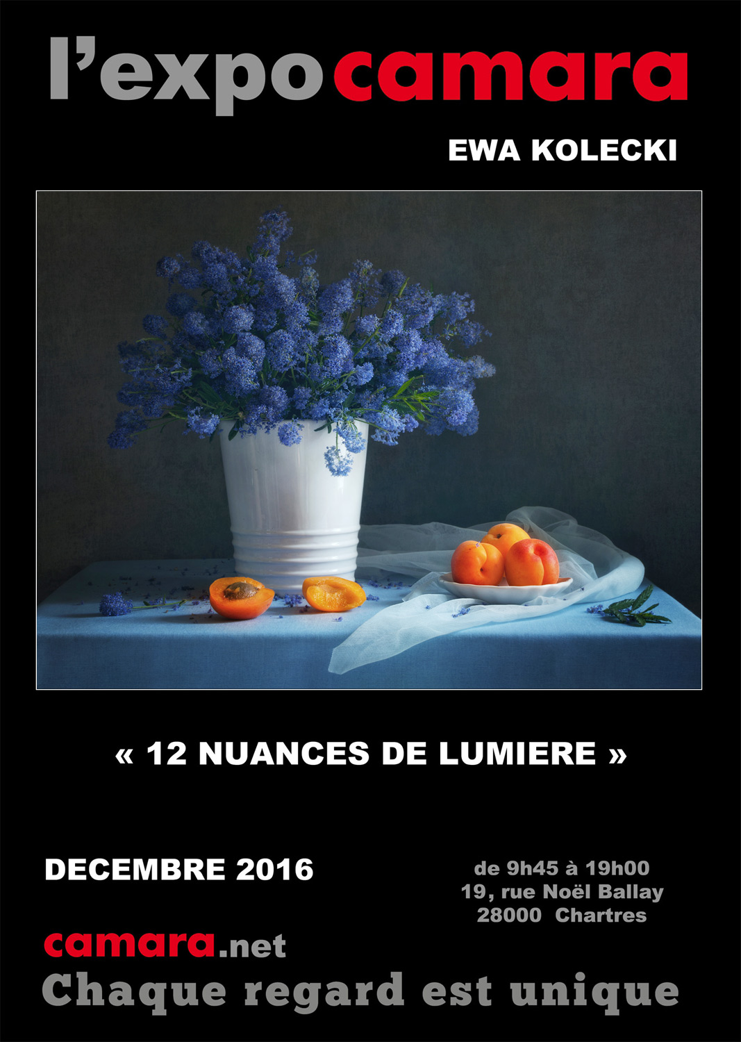 Ewa KOLECKI expose chez Camara