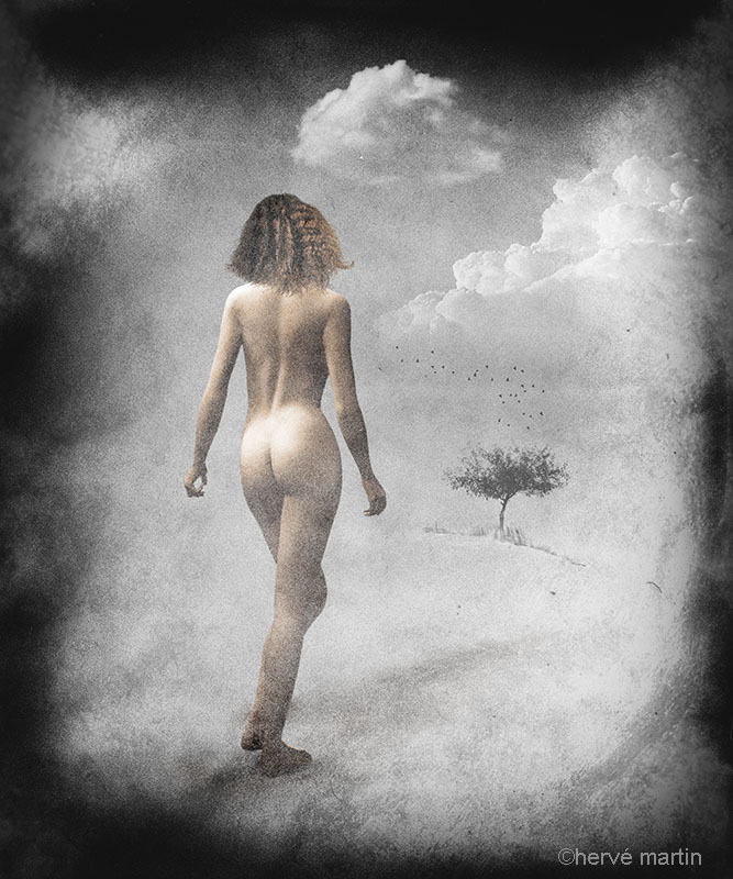 Résultats du 11ème Salon National d’Art Photographique de Ploemeur