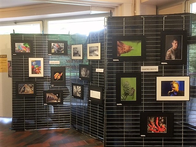 Exposition au forum de la Madeleine