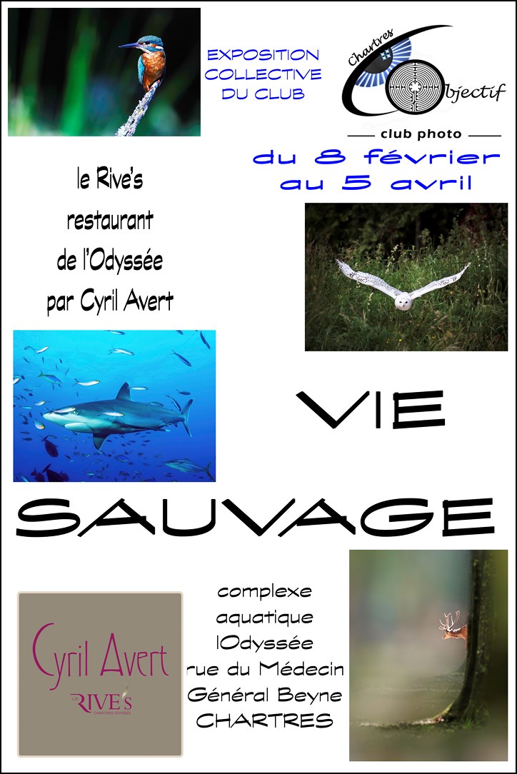 Exposition « Vie Sauvage » au Rive’s