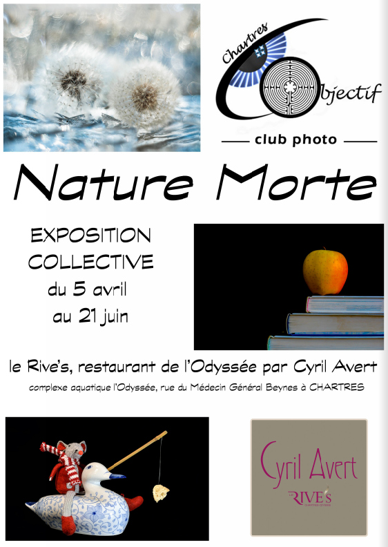 Exposition « Nature Morte » au Rive’s