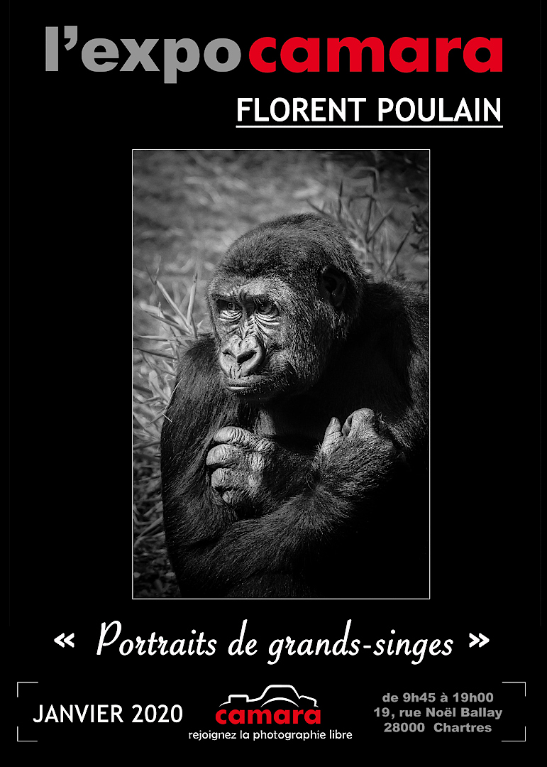 Florent POULAIN expose chez Camara