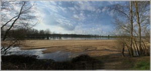 Loire St Denis en Val             