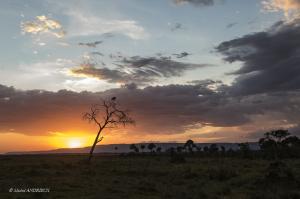 144-Coucher de Soleil sur le Masaï Mara