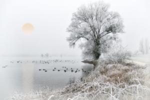 Hervé MARTIN -  GIVRE A ECLUZELLES-02