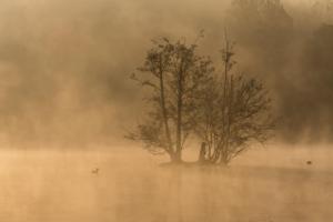 Christian GEORGET -   Brumes Matinales