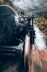 Sandrine CRIAUD  -Steam train long exposure