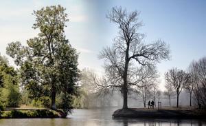 071 SZULTZ Jean-Marc - Le miroir des saisons