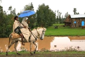 070 BIRRE Alain - A cheval sous son parapluie