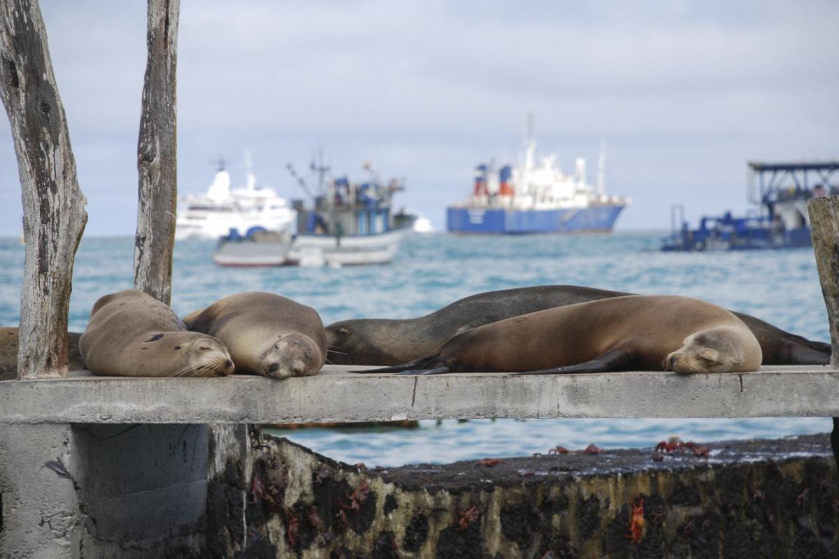 39_CLERMONT_Marc_-_Farniente