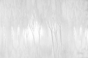 110_RIGUET_DOMINIQUE_-_Jusant