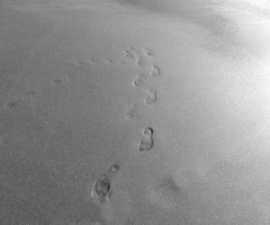 131_SIOURD_Karine_-_Chercher_son_chemin