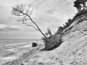 159_BIRRE_Alain_-_Quand_la_mer_monte_!