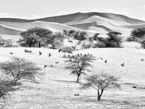 188_PENICAUD_Christophe_-_En_Mauritanie