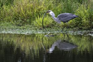 211_GEORGET_Christian_-_A_table