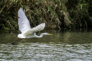 239_GEORGET_Christian_-_L'envol