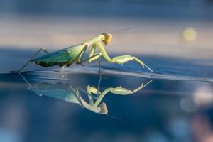 36_SZULTZ_Jean-Marc_-_L'équilibre_de_l'instant_