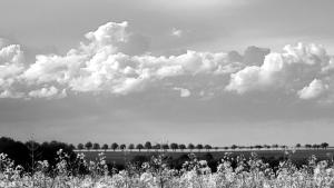 376_PENICAUD_Christophe_-_Avril_en_Beauce