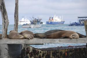 39_CLERMONT_Marc_-_Farniente