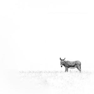 67_SETIER_Philippe_-_Suspendu