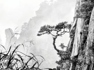 69_PENICAUD_Christophe_-_Un_jeune_centenaire