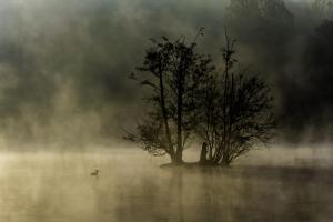 6_GEORGET_Christian_-_Brumes_automnales