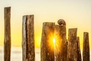 811_SETIER_Philippe_-_Quand_le_temps_s_arrête