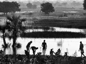 PENICAUD Christophe - Scènes de pêche artisanale