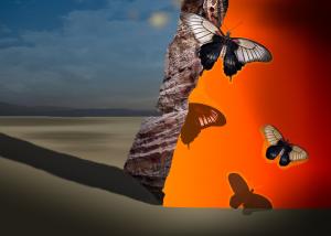Francine LADAME
