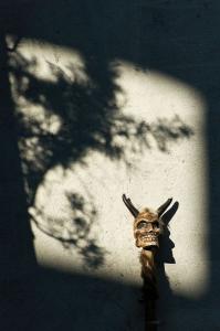 112 SIGAUD Florent - Ombre encadree