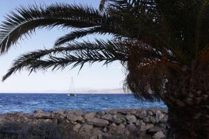 179 VINCENT Eric - Vue du golf de St Florent en Corse