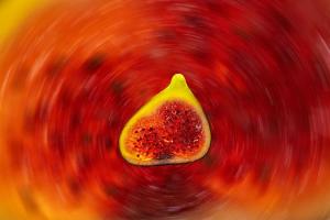 194 MARTCHENKO Andre - Ma figue